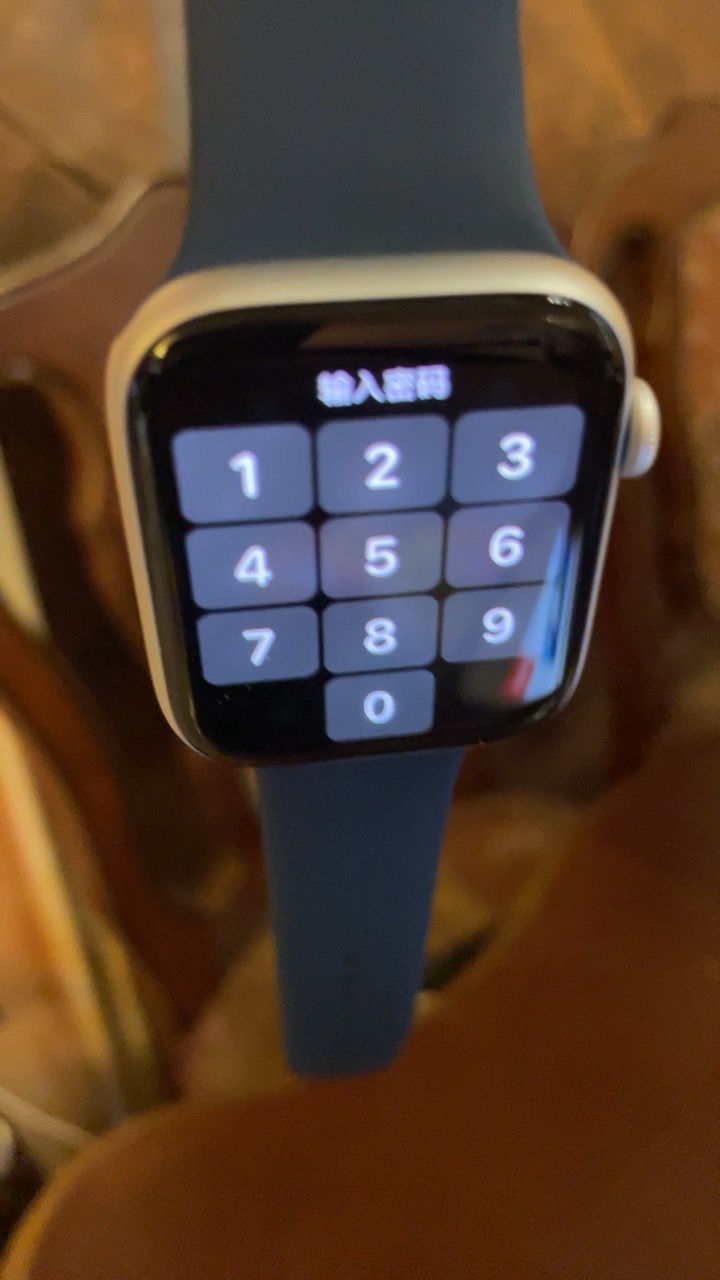 包含苹果手表se蜂窝版离开手机可以付款么的词条-第2张图片-太平洋在线下载
